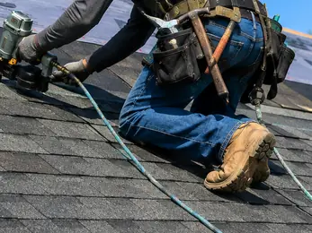 Roof shingle repair